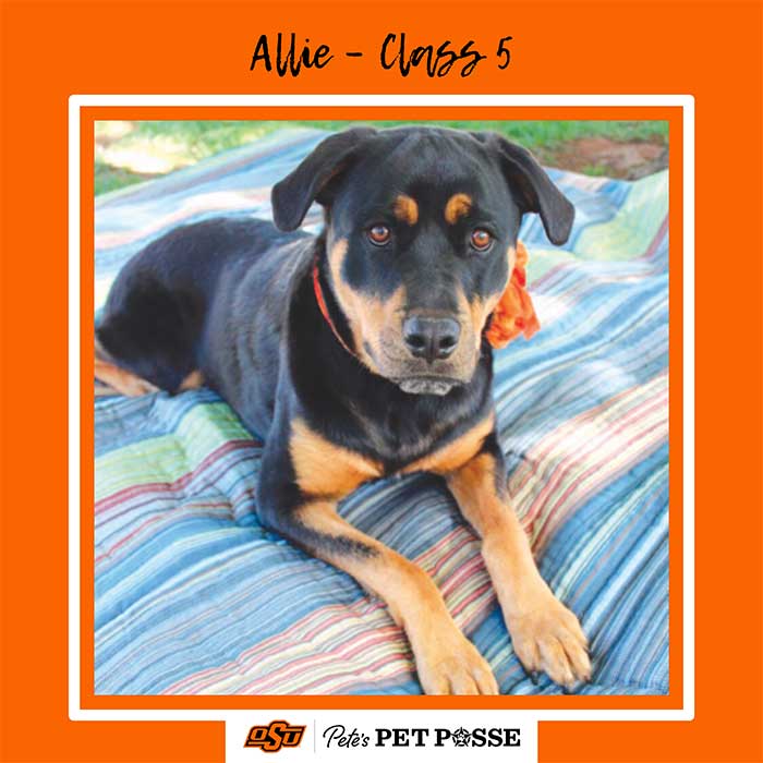 allie-ht-dec-2024