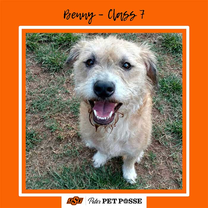 Benny
