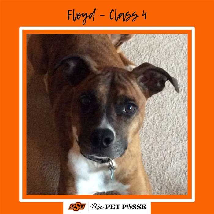 Floyd Image