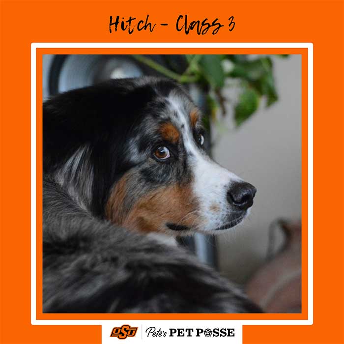 Hitch Image