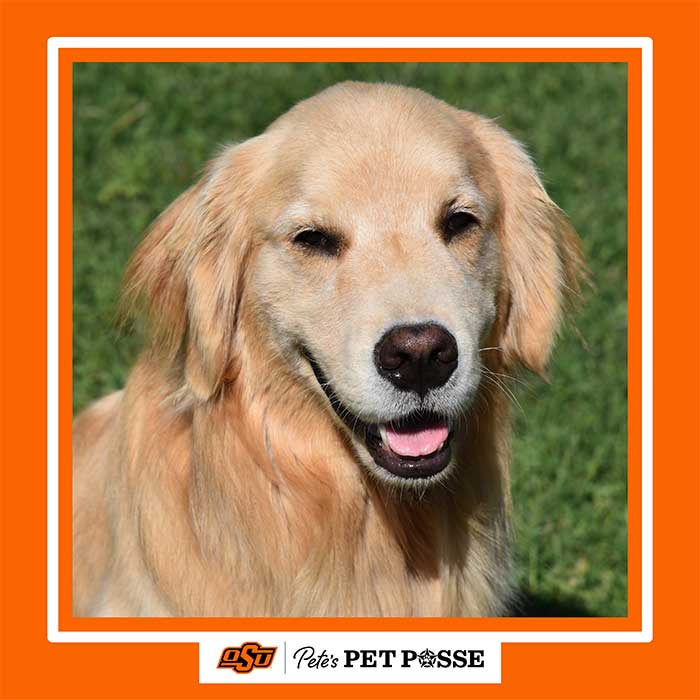 Jackson Grammer