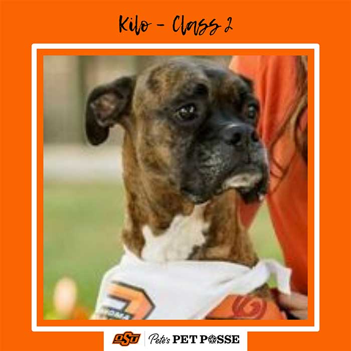 Kilo Image