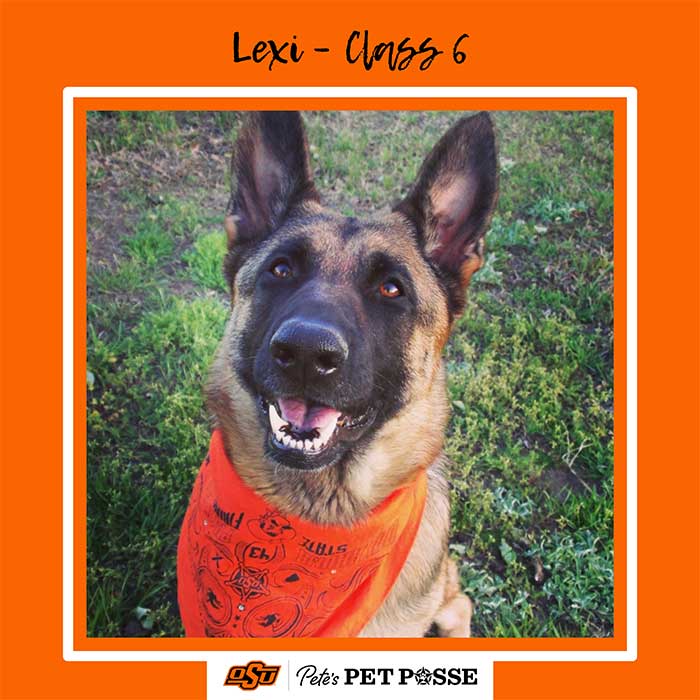 Lexi Image