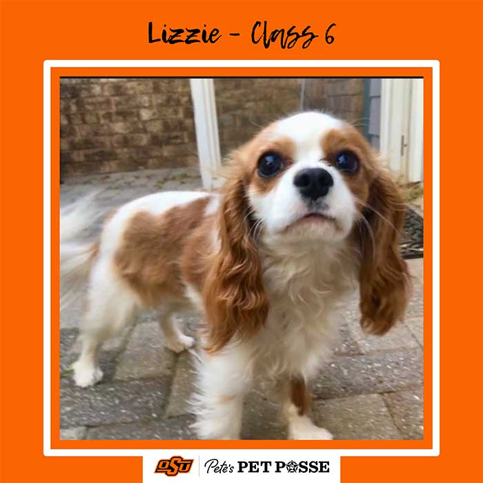 Lizzie Image