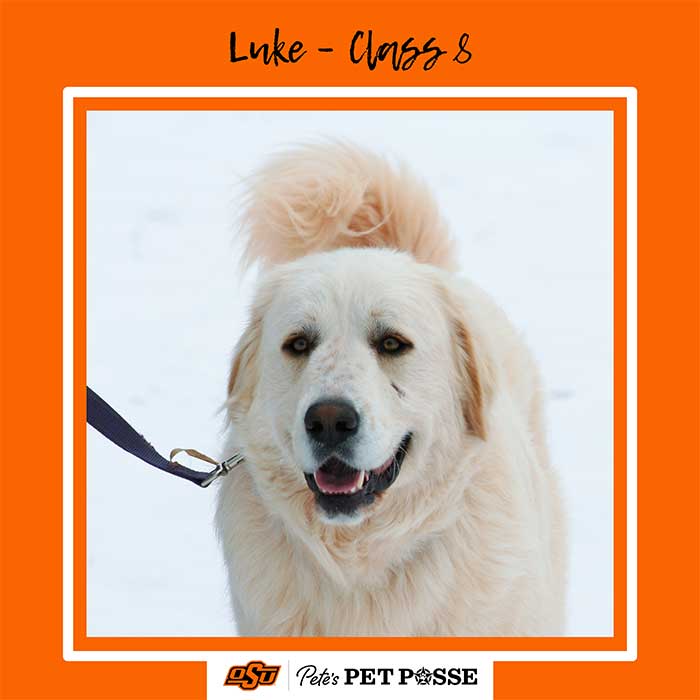Luke
