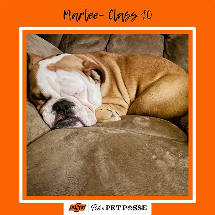 Marlee