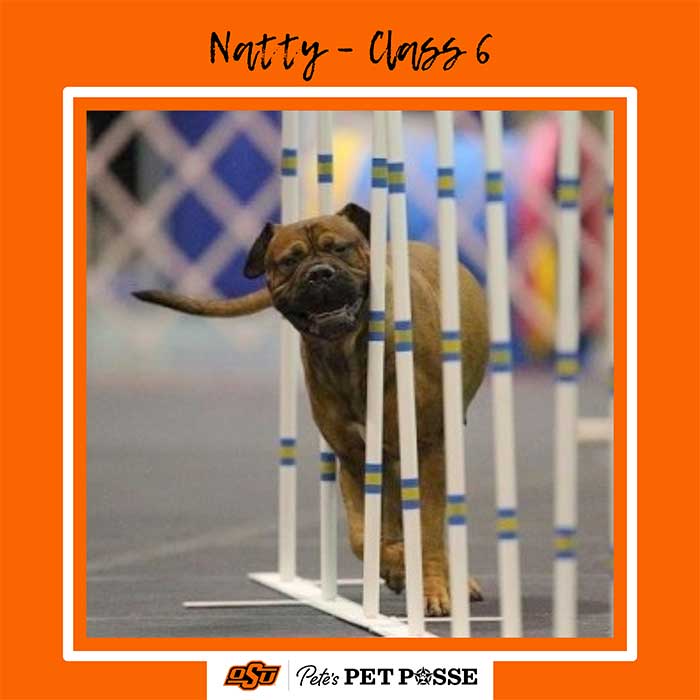 Natty Image