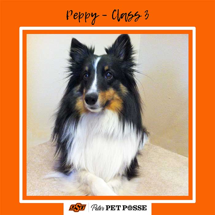 Peppy Image