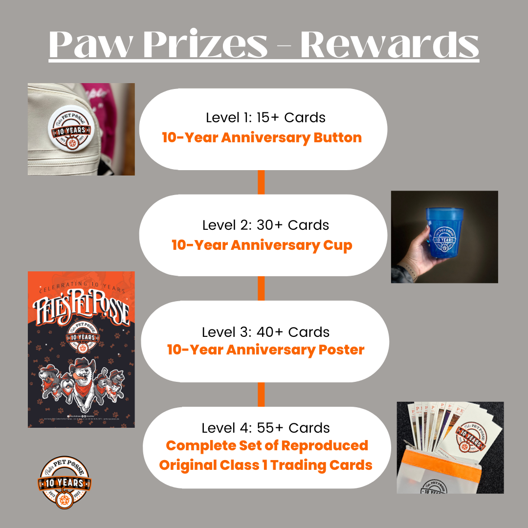 Reward Program Information