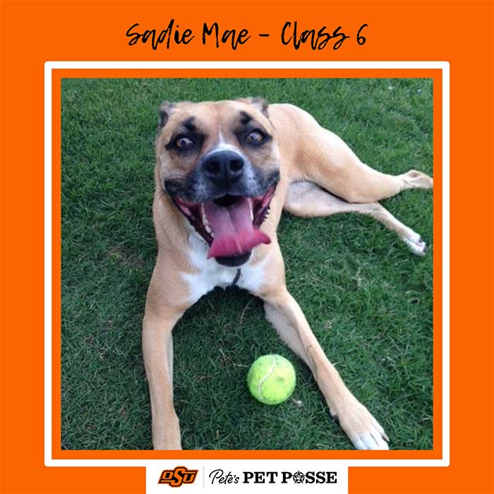 Sadie Mae