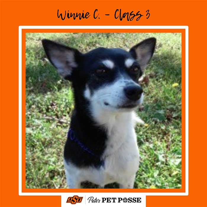 Winnie C Image